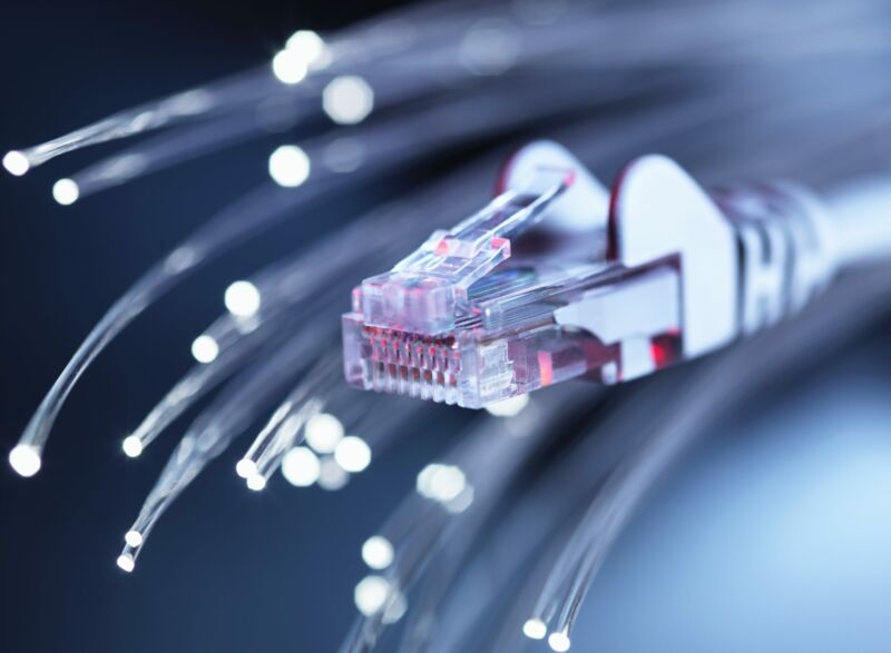 An Ethernet cable and fiber optic wires.