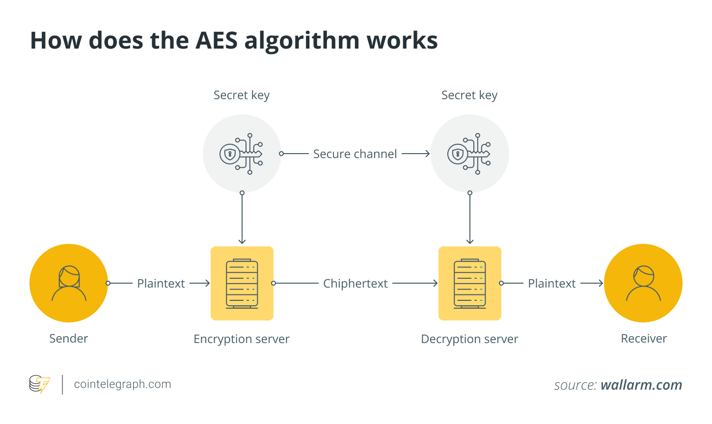 How does the AES algorithm works